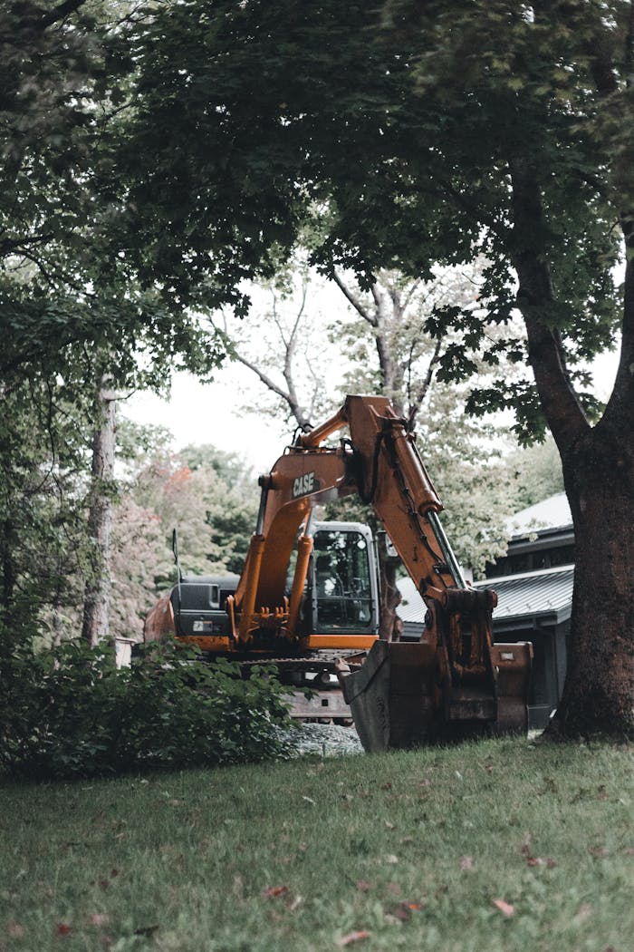 Excavator Near Green Trees